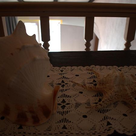 Apartman Marko Tribunj  Luaran gambar