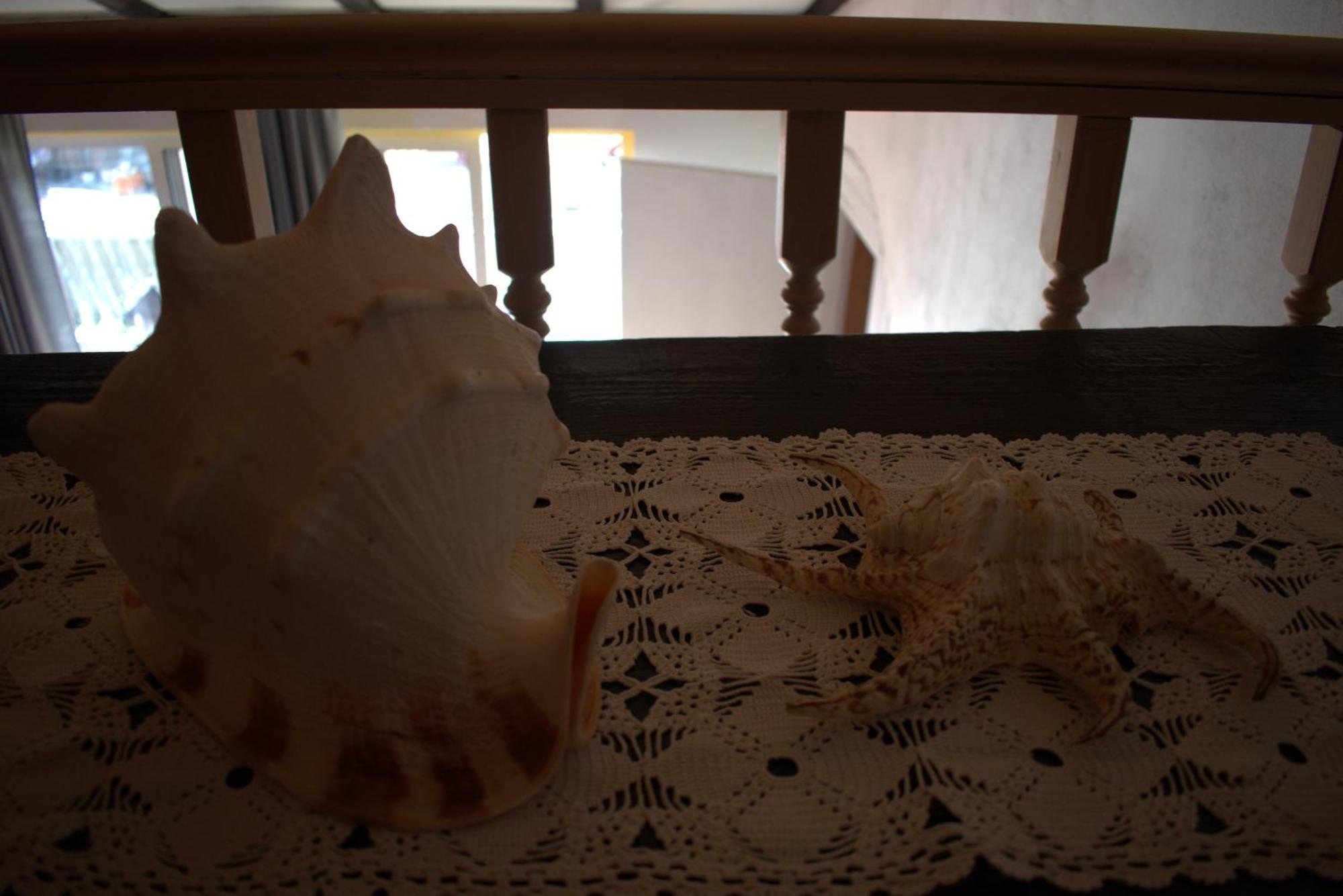 Apartman Marko Tribunj  Luaran gambar